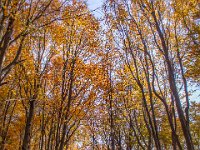 Beskid Niski